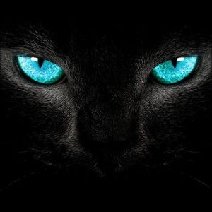 Meet your Posher, Jen